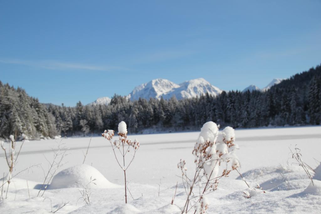 Appartement Weiherbach - Hallenbad *