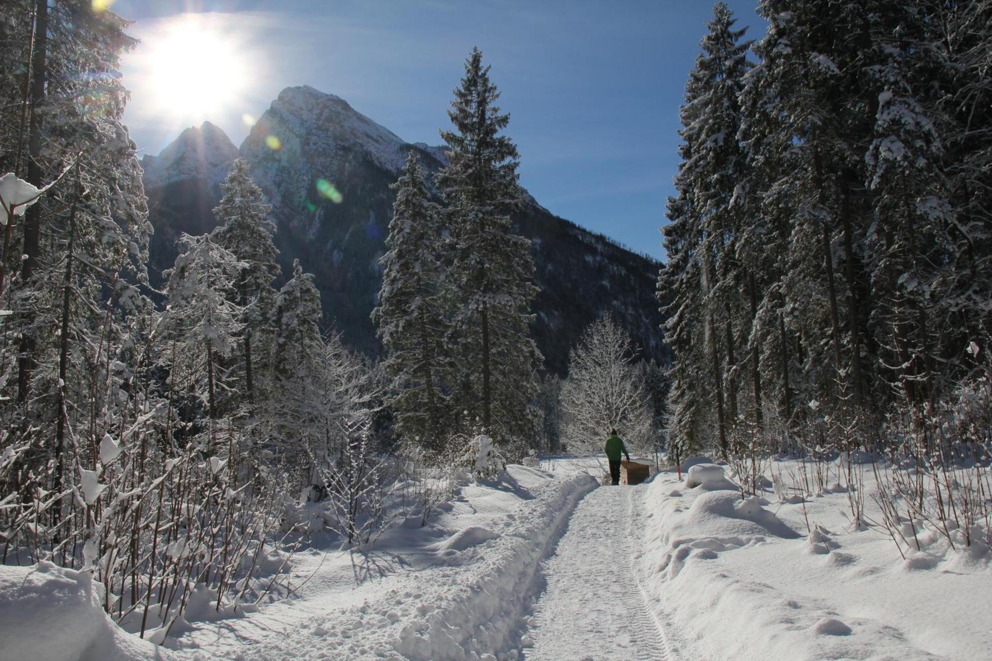 Am Weiherbach Berchtesgaden